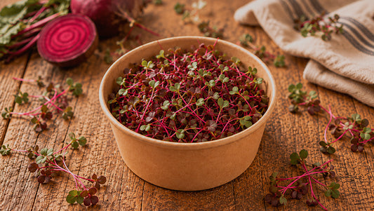 Microgreens betabel